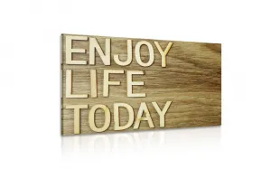 Obraz s citátom - Enjoy life today