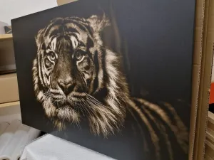 Obraz tiger v sépiovom prevedení