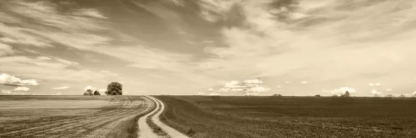 Obraz čarokrásna krajina v sépiovom prevedení