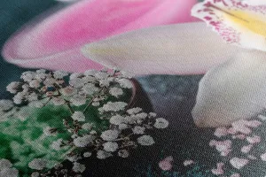 Obraz nádherná detailná orchidea