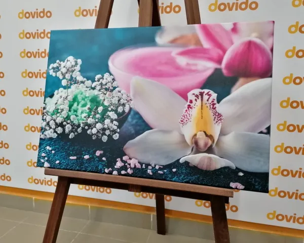 Obraz nádherná detailná orchidea