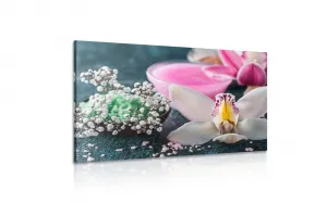 Obraz nádherná detailná orchidea