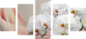 5-dielny obraz biela orchidea na plátne