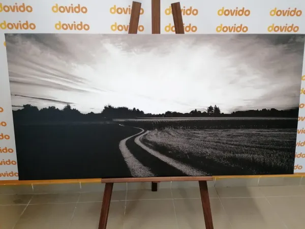 Obraz zapadajúce slnko nad krajinou v čiernobielom prevedení