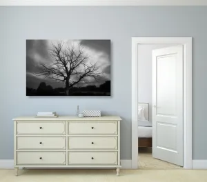 Obraz čiernobiely strom na lúke