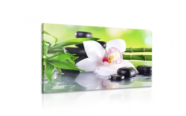 Obraz japonská orchidea