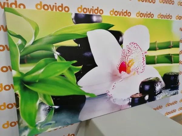 Obraz orchidea s japonskou tematikou