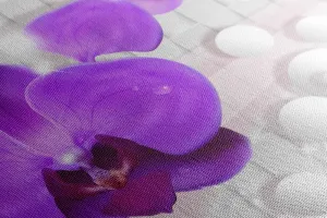 Obraz orchidea na abstraktnom pozadí