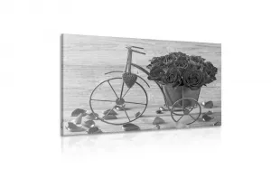 Obraz bicykel plný ruží v čiernobielom prevedení
