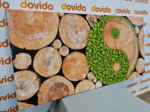 Obraz Jin a Jang v eko prevedení