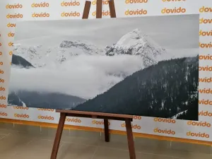 Obraz zimná krajina v čiernobielom prevedení