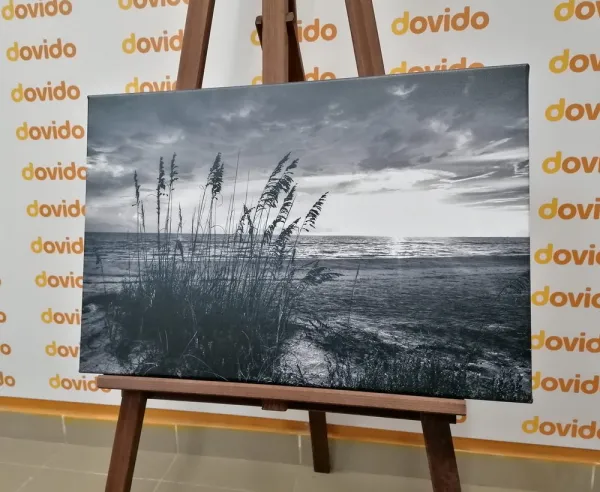 Obraz západ slnka na pláži v čiernobielom prevedení
