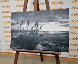 Obraz západ slnka na pláži v čiernobielom prevedení