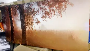 Obraz hmlistý jesenný les