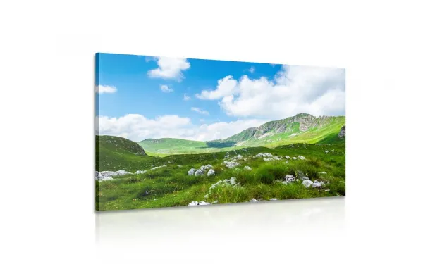 Obraz údolie v Čiernej Hore