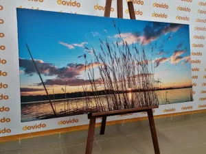 Obraz pokojná rieka pri dedine