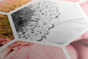 Obraz gerbera v šesťuholníku