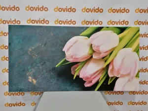 Obraz pastelovo ružové tulipány