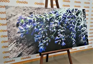Obraz kytica z levandule