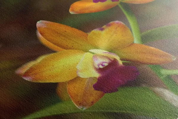Obraz oranžová orchidea