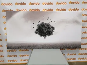 Obraz osamelý strom na lúke v čiernobielom prevedení