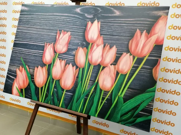 Obraz očarujúce oranžové tulipány na drevenom podklade