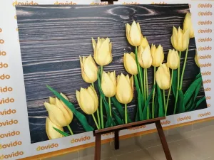 Obraz očarujúce žlté tulipány na drevenom podklade