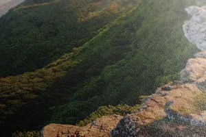 Obraz príroda zaliata slnkom