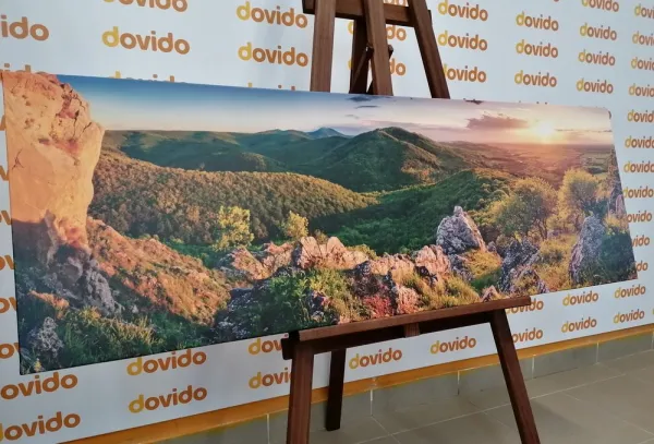 Obraz príroda zaliata slnkom
