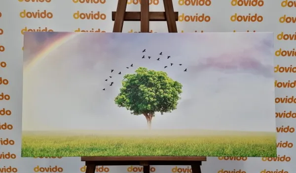 Obraz osamelý strom na lúke