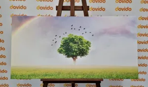Obraz osamelý strom na lúke