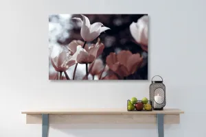 Obraz jarné tulipány v parku