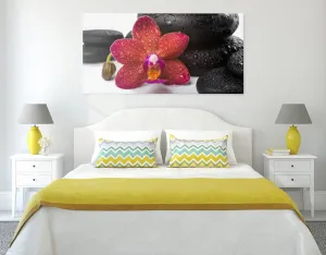 Obraz orchidea a Zen kamene na bielom pozadí