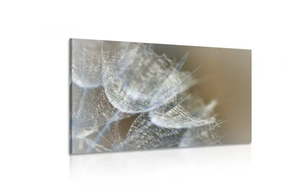Obraz makro púpava na pozadí