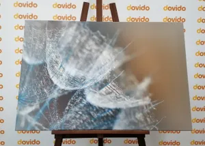 Obraz makro púpava na pozadí