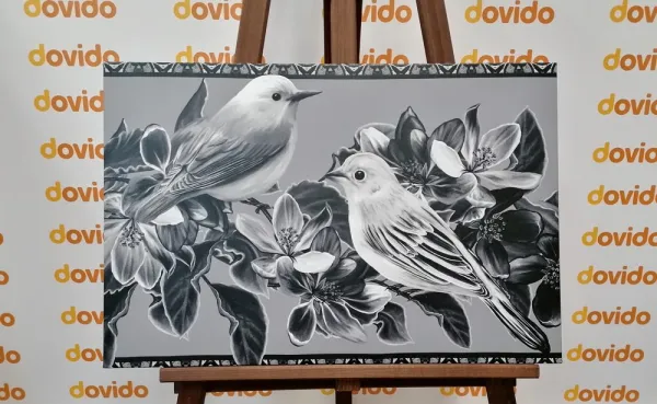 Obraz čiernobiele vtáčiky a kvety vo vintage prevedení
