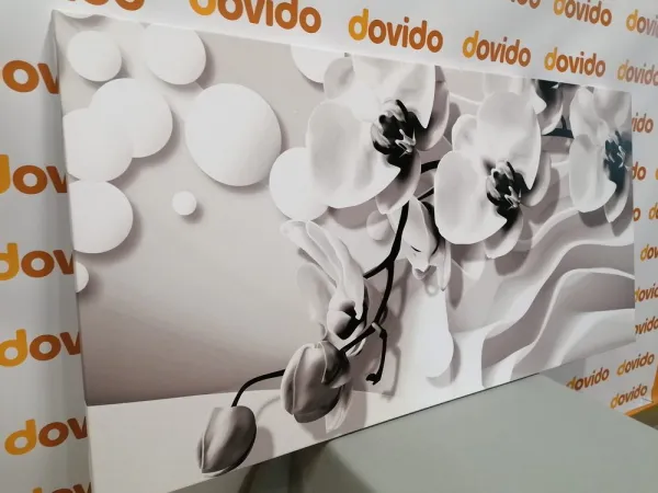 Obraz čiernobiela orchidea na abstraktnom pozadí