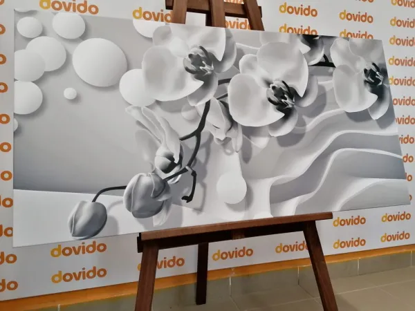 Obraz čiernobiela orchidea na abstraktnom pozadí