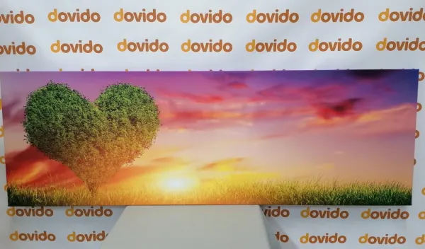 Obraz strom v tvare srdca na lúke