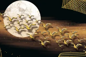 Obraz prelet vtáctva počas splnu mesiaca