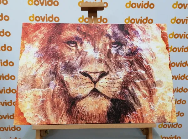 Obraz tvár leva