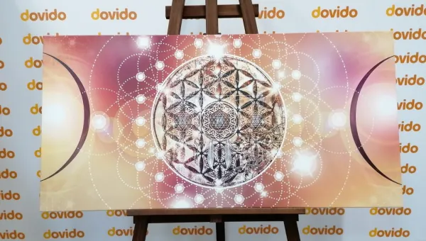 Obraz očarujúca Mandala