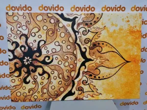 Obraz Mandala s vintage nádychom