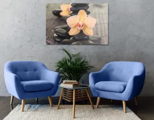 Obraz žltá orchidea a Zen kamene