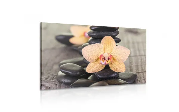 Obraz žltá orchidea a Zen kamene