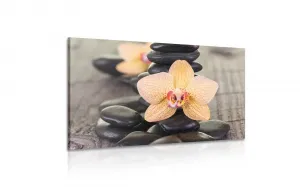 Obraz žltá orchidea a Zen kamene