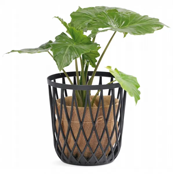 Prosperplast Univerzální koš s jutovým pytlem QUBO 39 cm šedý