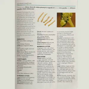 Ashwagandha prášok z koreňa, 7% extrakt - 100 g - Herbatica