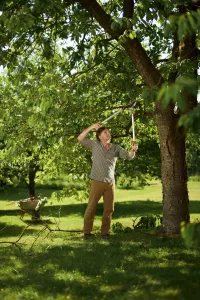Nožnice na konáre WOLF-Garten RS 800 V