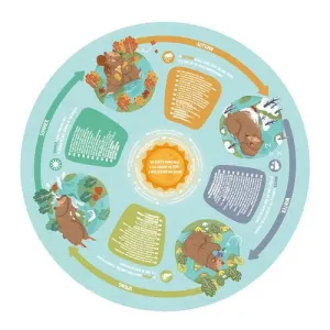 HAPE - Puzzle - štyri ročné obdobia
